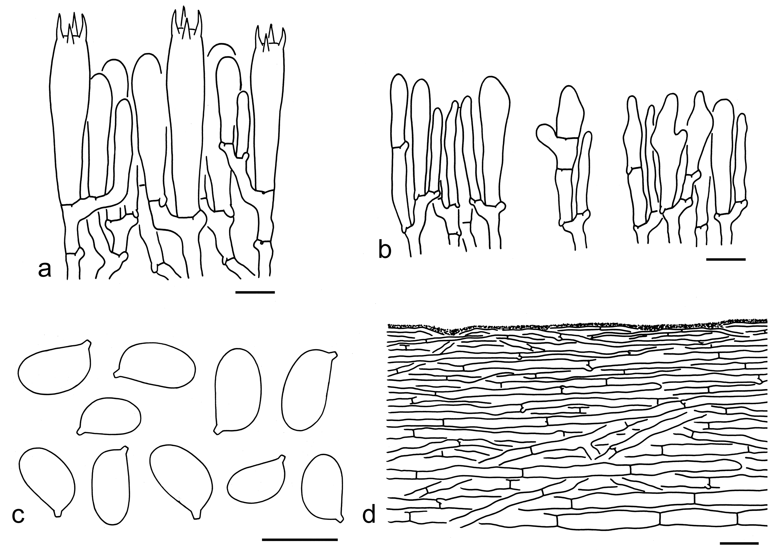 Figure 98